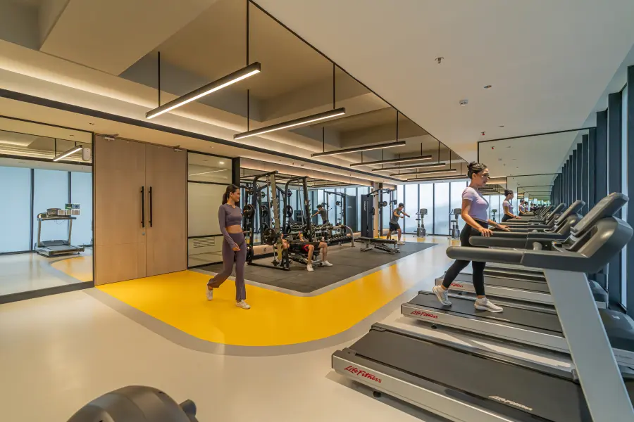 Muscle Up Playground